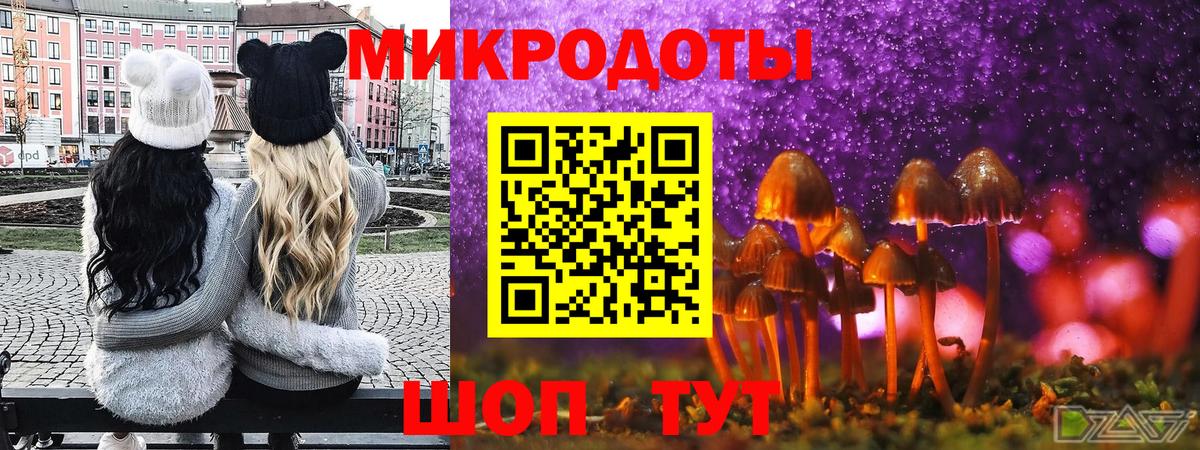 Галлюциногенные грибы Psilocybine cubensis Ижевск