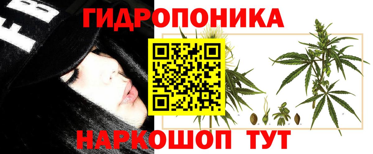 Конопля Amnesia  Вход с VPN  Канабис планчик  Ижевск  Конопля конопля 